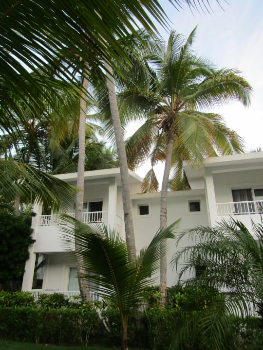 Gartenanlage Hotel Riu Bambu