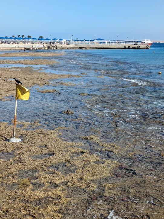 Strand Pickalbatros Palace Resort