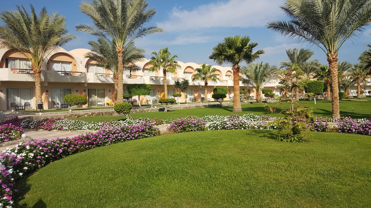 Gartenanlage Three Corners Sea Beach Resort