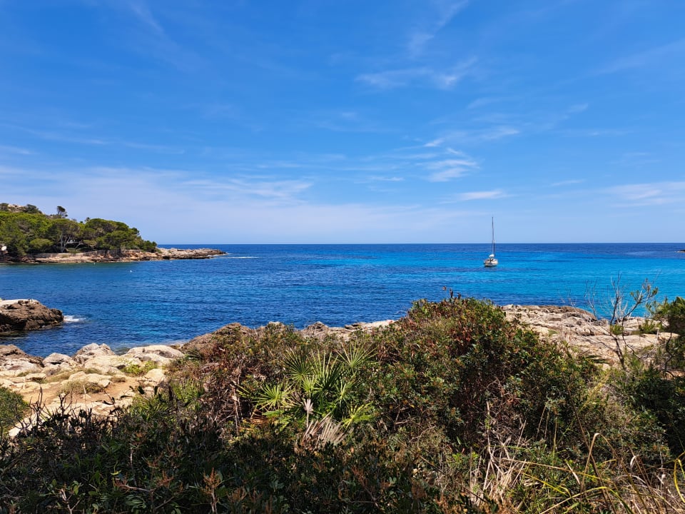 Ausblick Iberostar Waves Pinos Park
