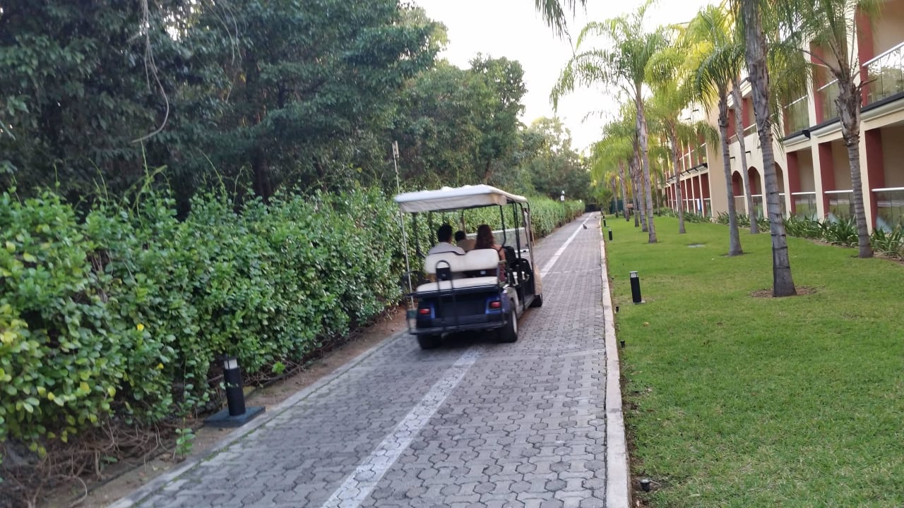 Die Golfkaddys - einfach genial Sandos Playacar Select Club Adults only - All Inclusive