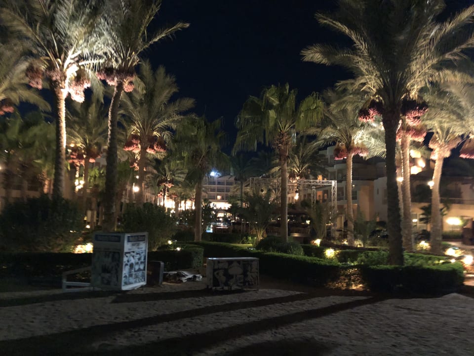 Garten Sea Star Beau Rivage