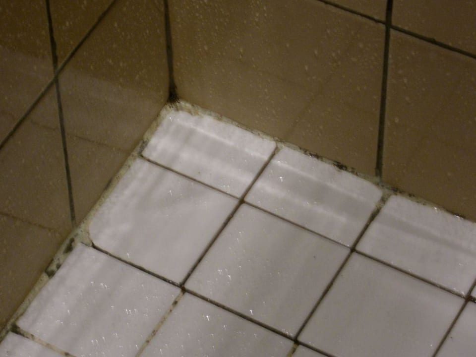 Unser schimmeliges Bad Teil 3 Pickalbatros Royal Grand Resort - Sharm El Sheikh