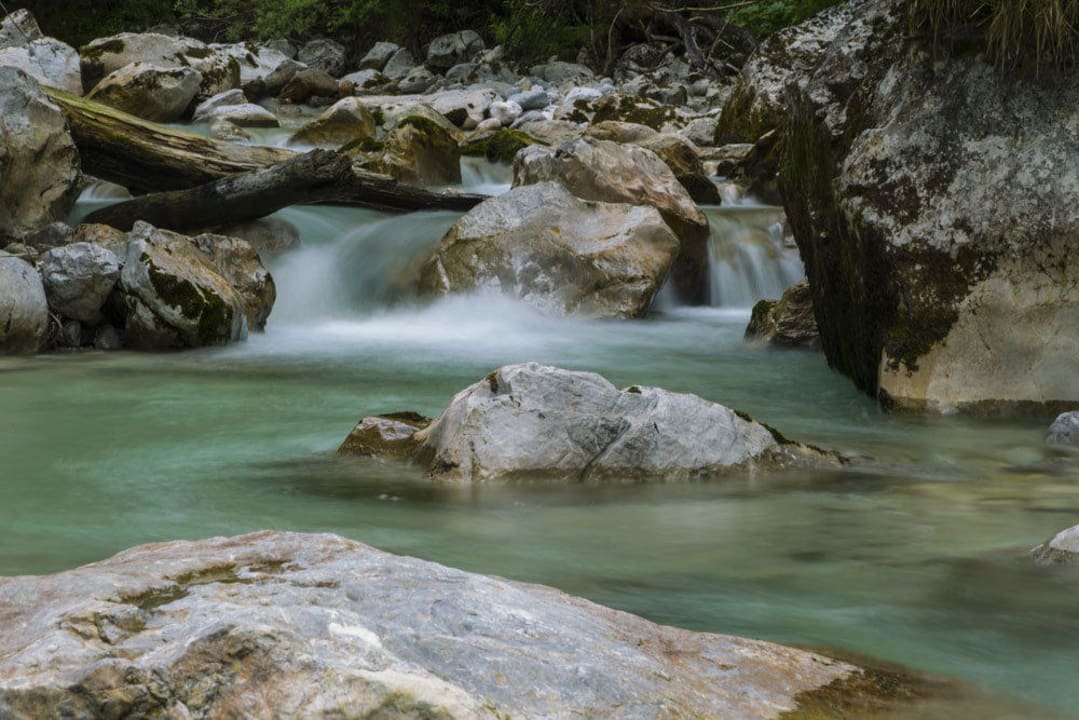 Zauberwald FeWo Wirtshaus im Zauberwald