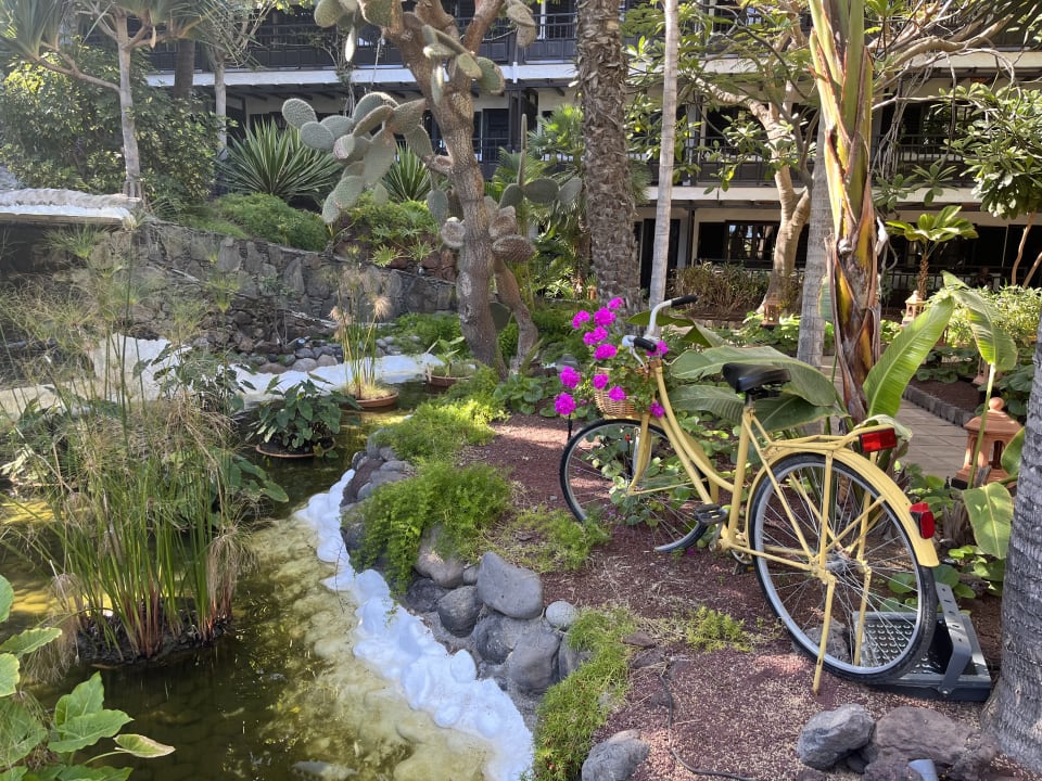 Gartenanlage Hotel Parque Tropical