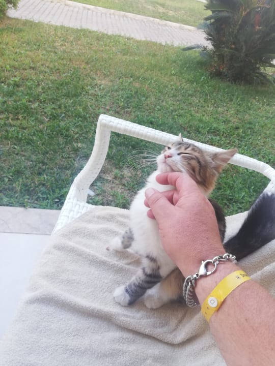 Gartenanlage Dream Family Club