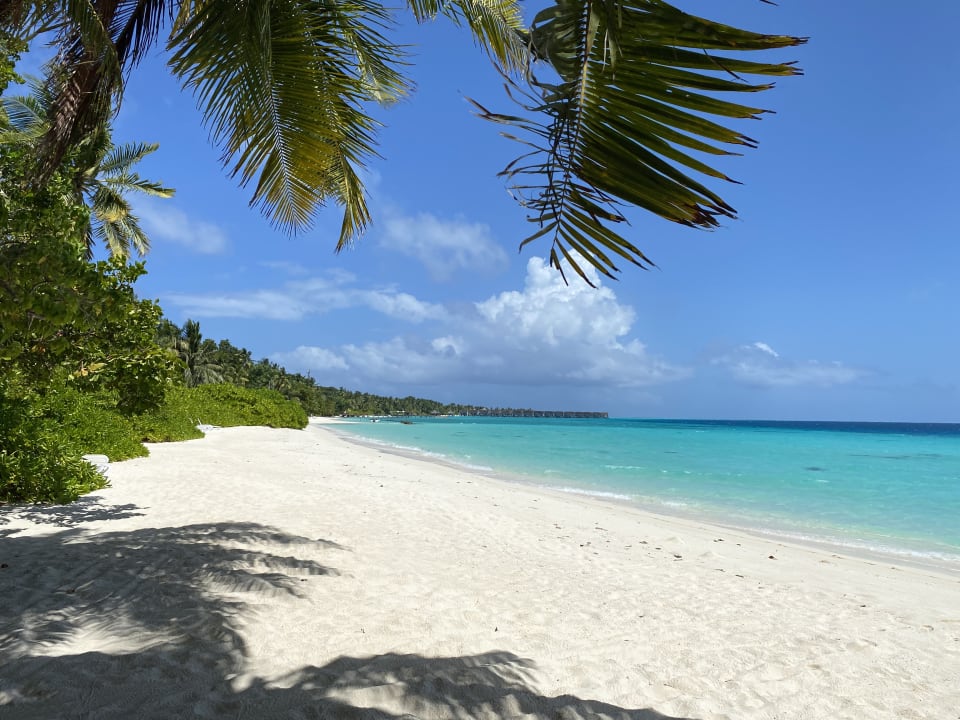 Strand Kuramathi Maldives