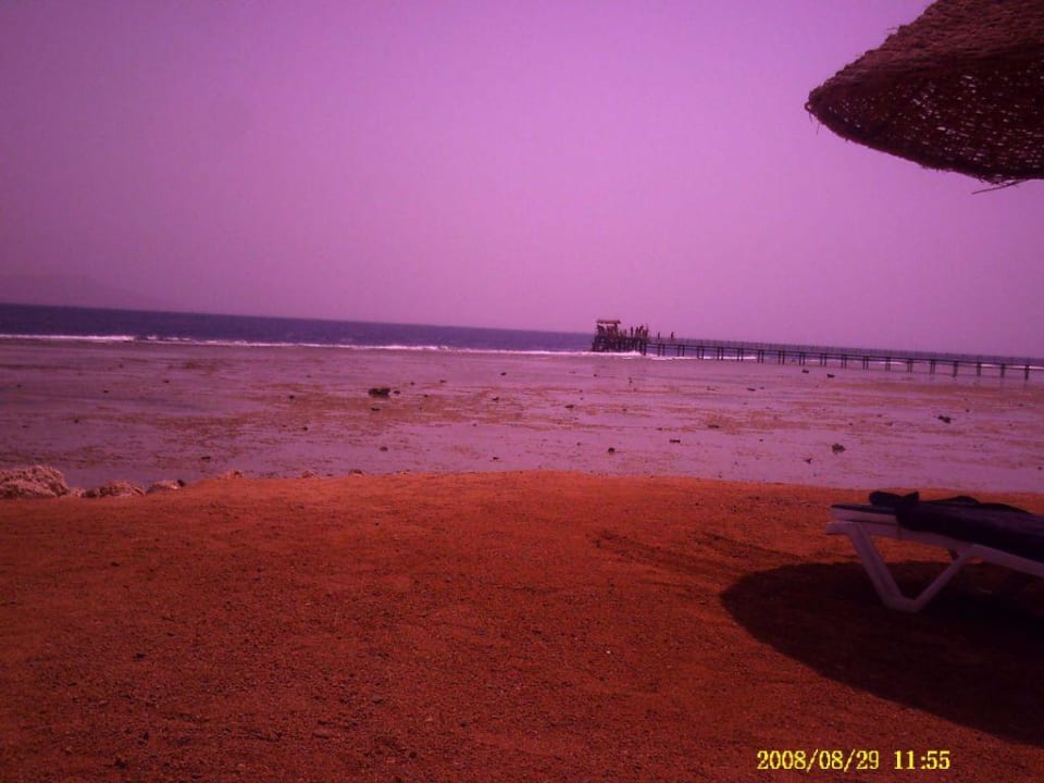 Strand das Wasser hat 27 Grad Parrotel Aqua Park Resort