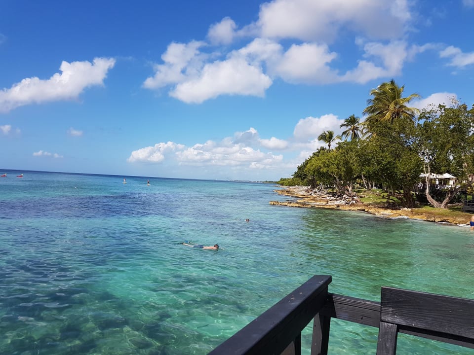 Steg Dreams La Romana Resort & Spa