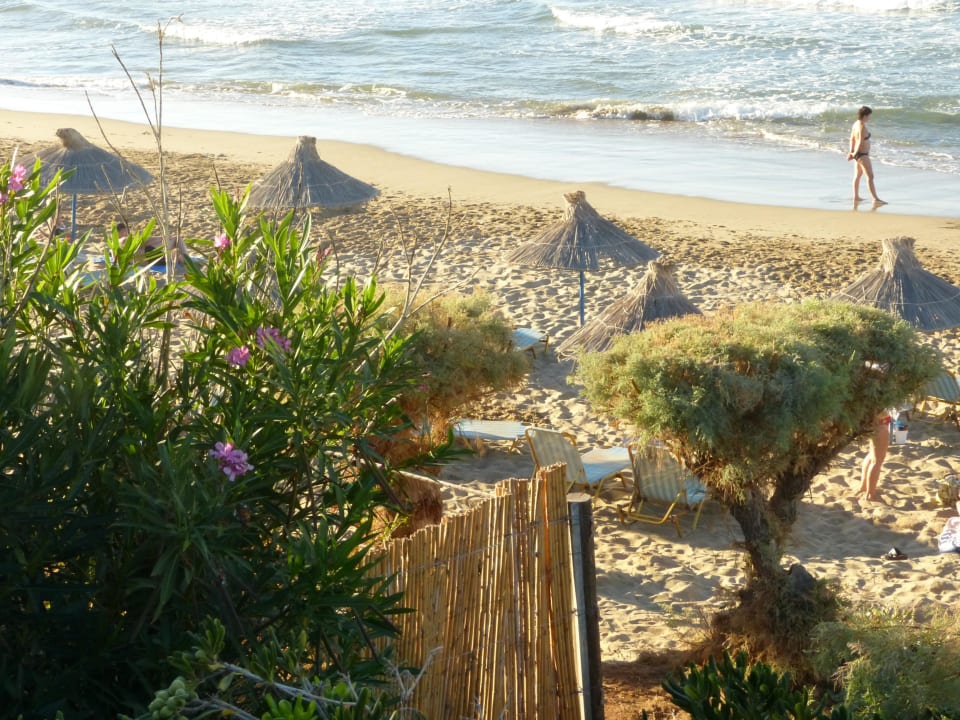 Blick zum Strand Sentido Kyknos Beach Adults Only 16+