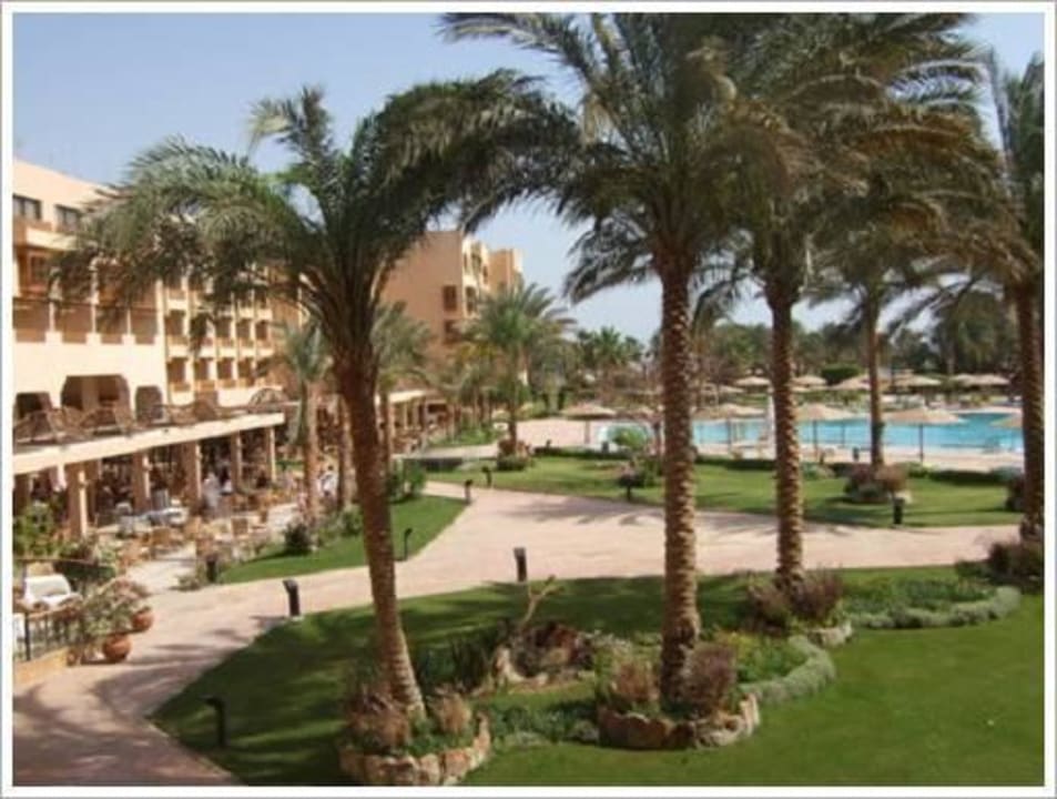 Großer Pool Continental Hotel Hurghada