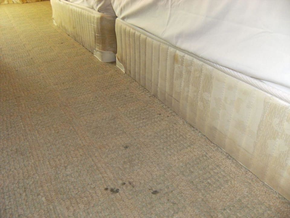 Das Zimmer Hotel Lion Sunny Beach