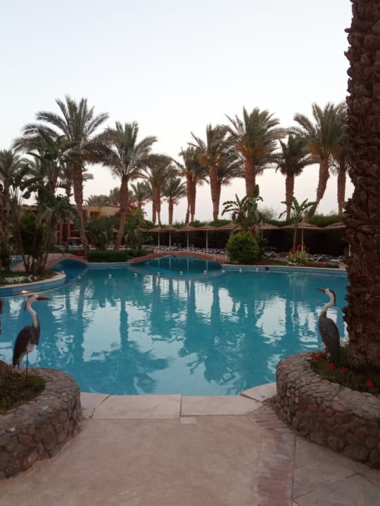Pool Bellagio Beach Resort & Spa