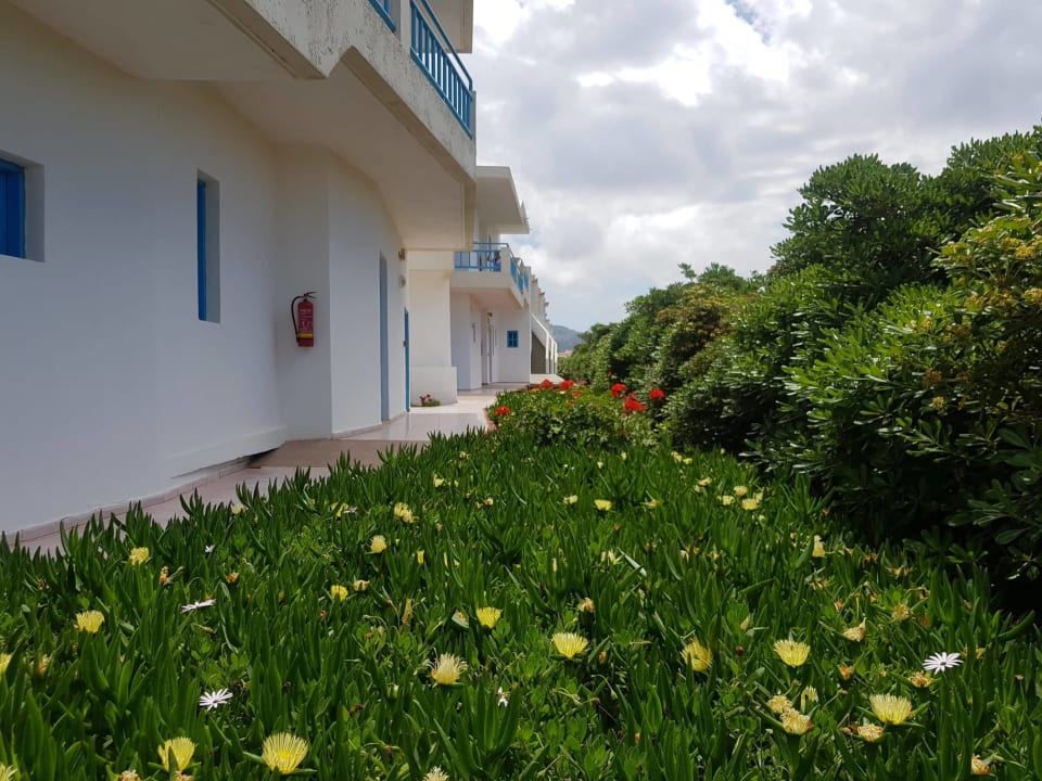 Gartenanlage Kasapakis Hotel & Apartments