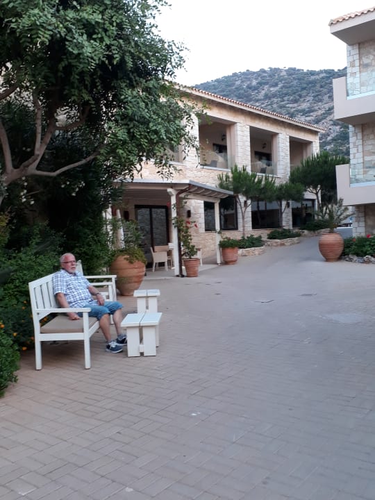 Gartenanlage Cactus Royal