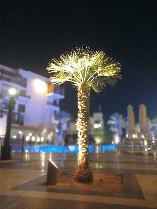 Gartenanlage Steigenberger Aqua Magic