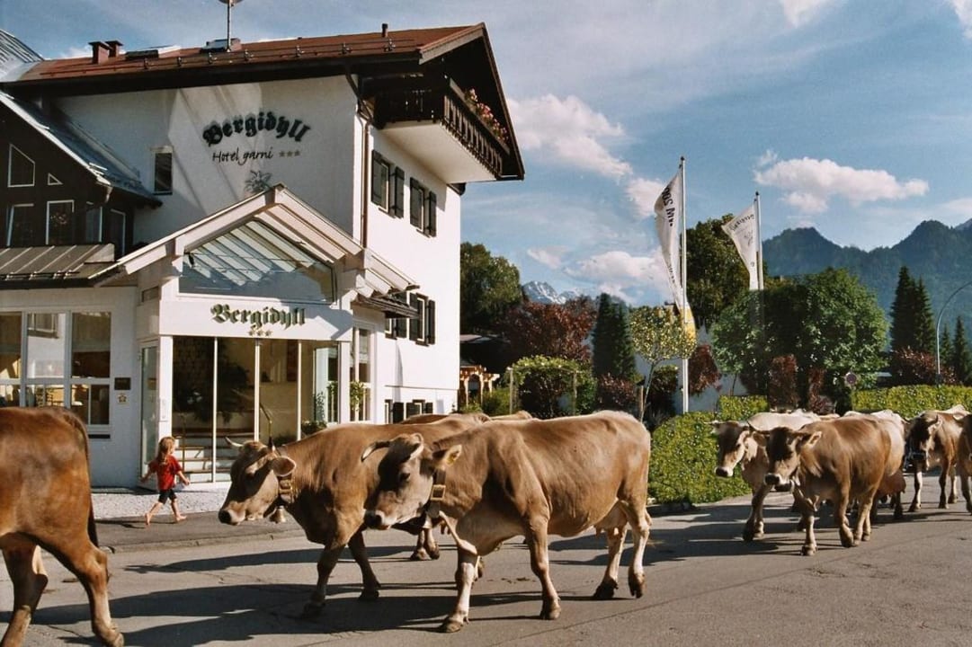 Bergidyll - Der wahre Kuhdamm Hotel Garni Bergidyll