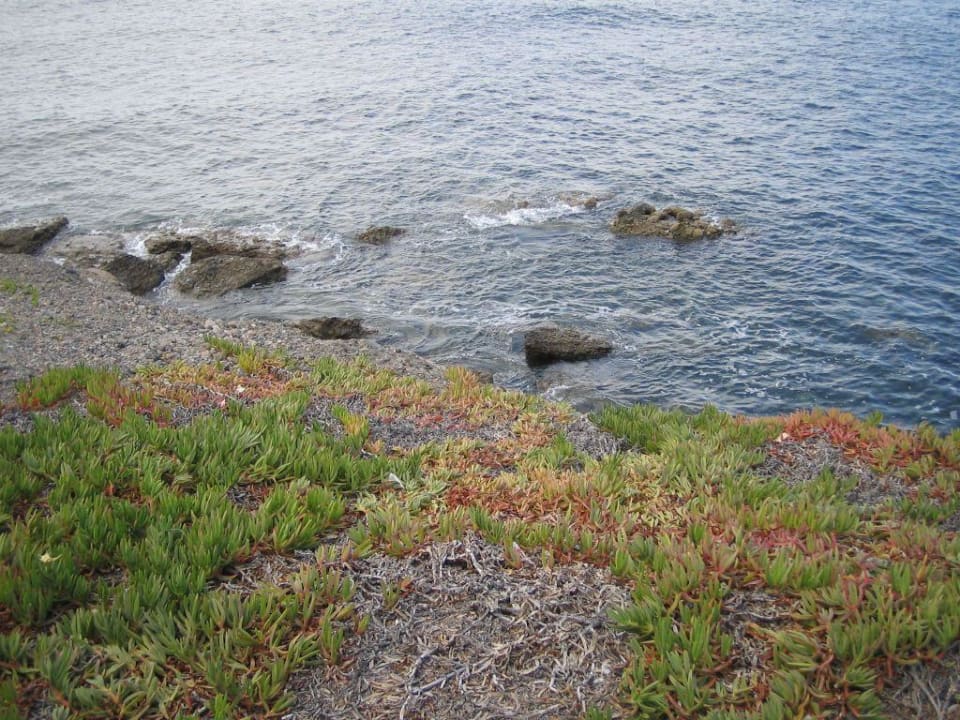 "Strand" direkt vorm RIU Palace Meloneras Hotel Riu Palace Meloneras