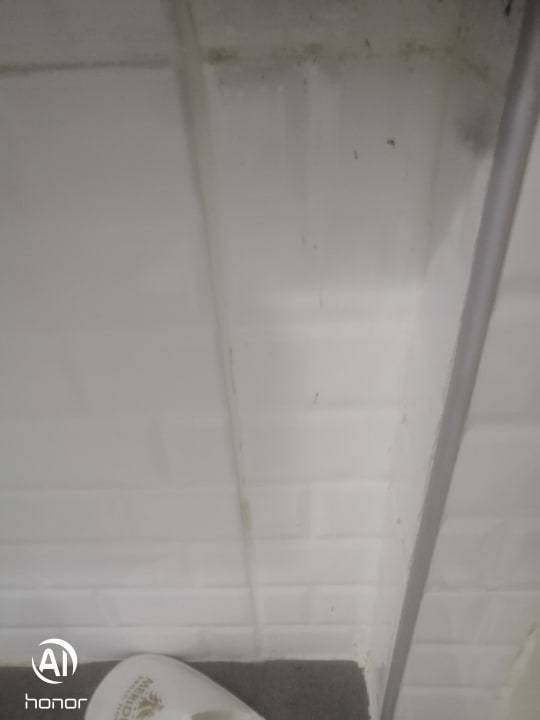 Zimmer Mira Meridia Beach Hotel