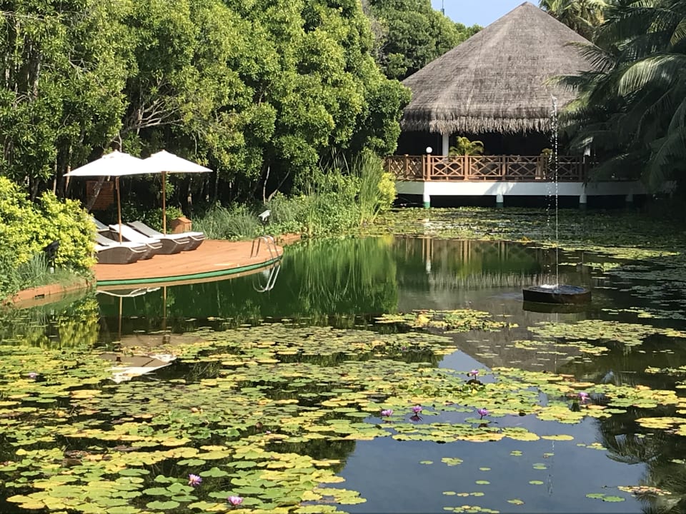 Garten Dreamland The Unique Sea & Lake Resort / Spa