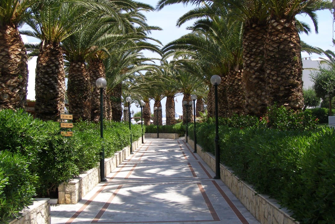 "Hauptstraße" zum Pool / Strand Annabelle Beach Resort