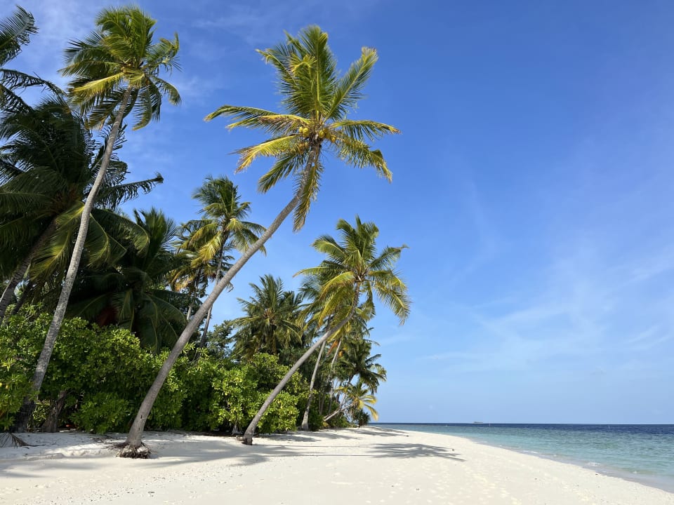 Strand Filitheyo Island Resort