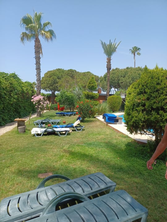 Pool Club Turtas Beach Hotel