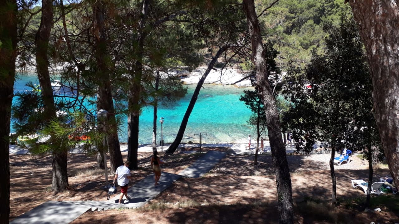 Gartenanlage Hotel Aurora