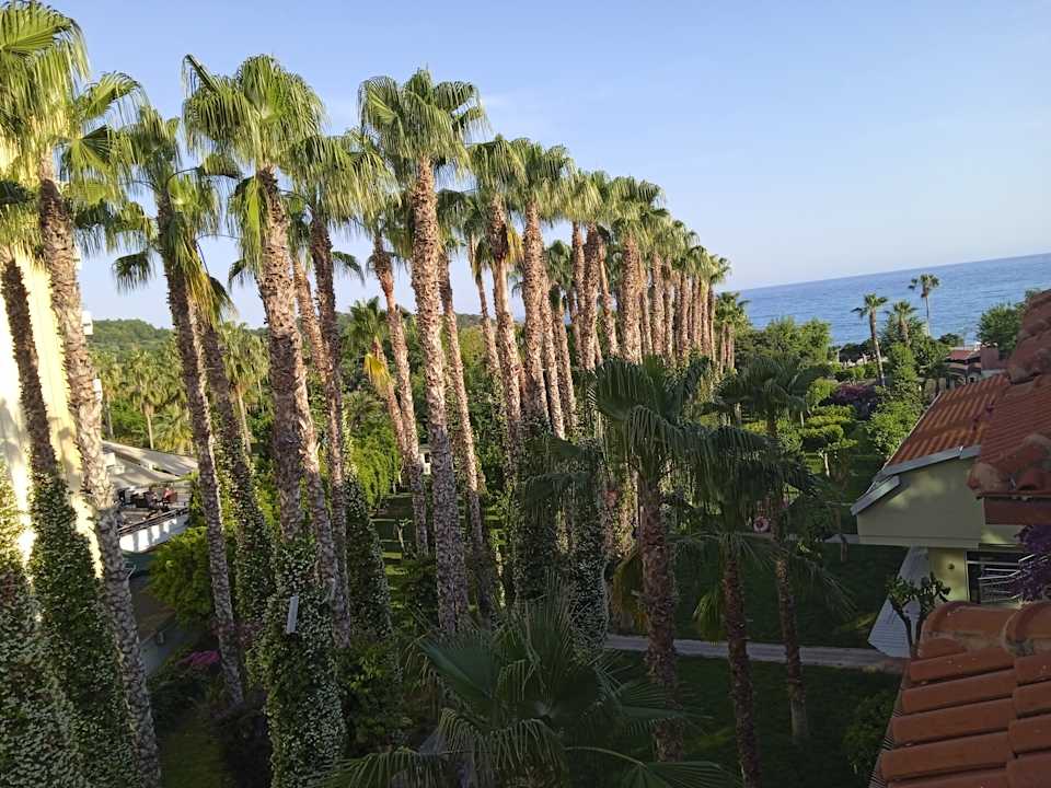 Zimmer Hotel Gardenia Beach