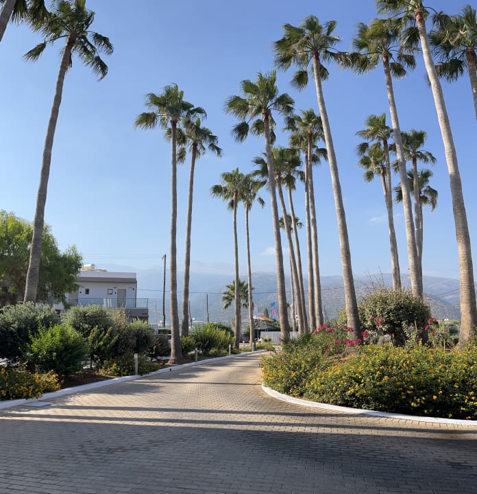 Gartenanlage allsun Hotel Carolina Mare