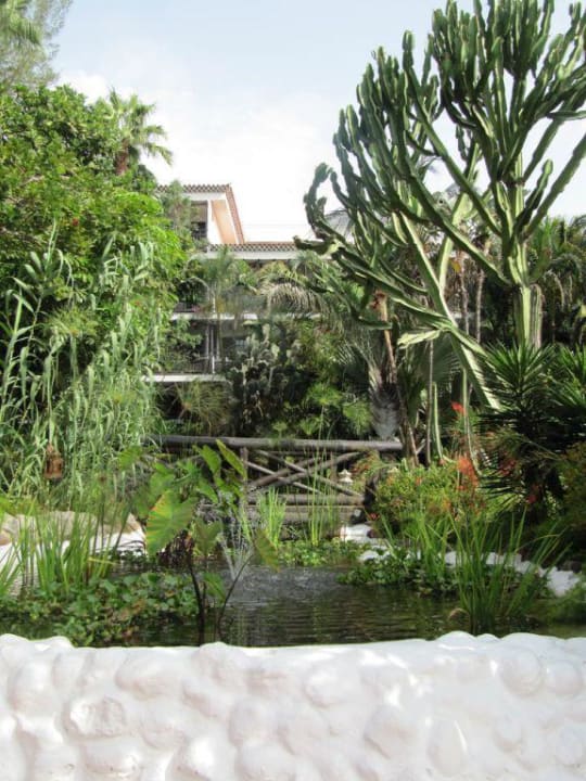 Garten Hotel Parque Tropical