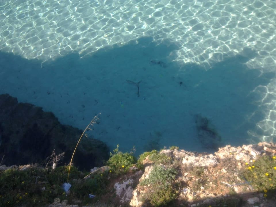 Plaża Hotel Club Cala Romani