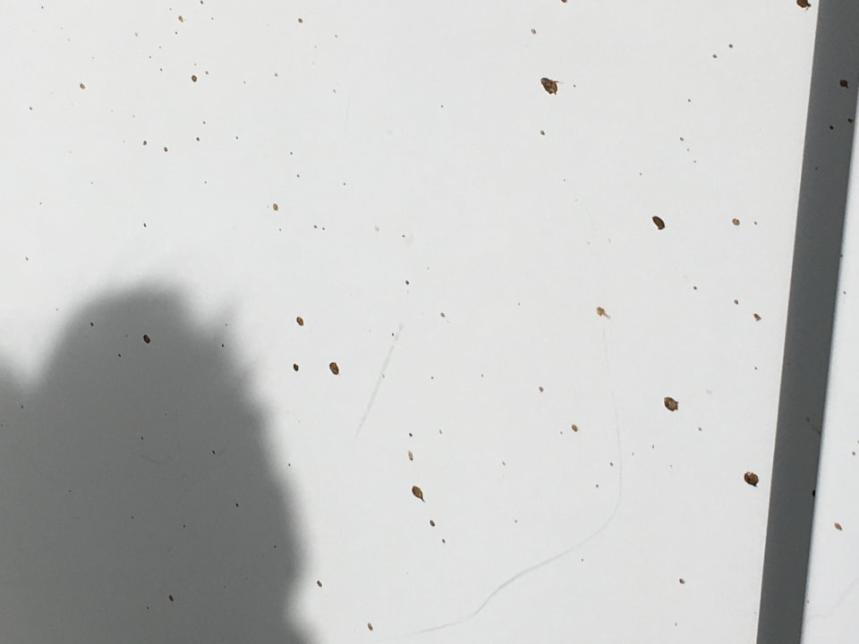 Zimmer Ferienwohnungen Ferienpark Weissenhäuser Strand