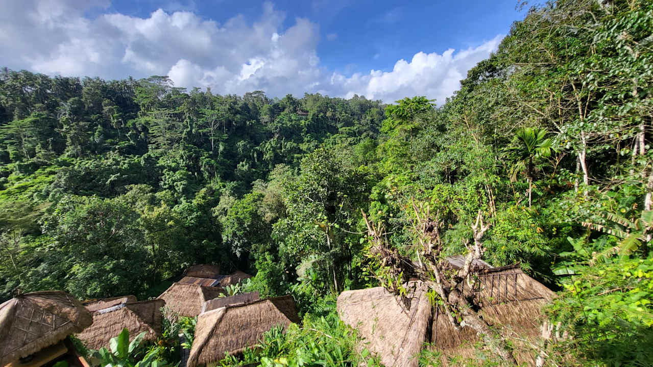 Ausblick Nandini Jungle by Hanging Gardens