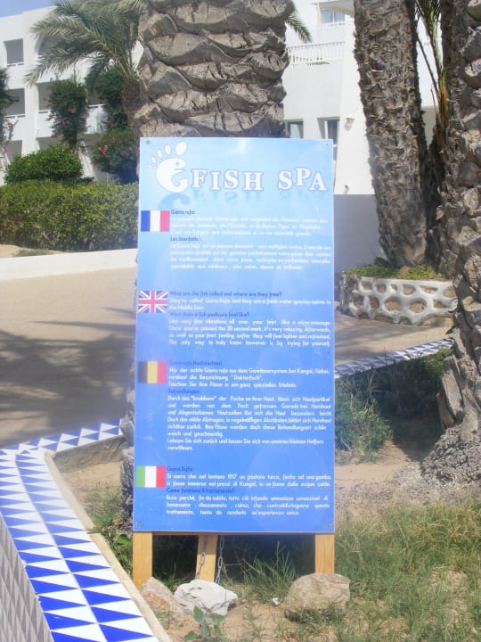 Fisch-Massage Hotel El Mouradi Djerba Menzel