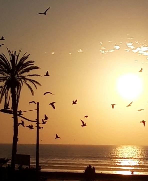 Ausblick Iberostar Waves Founty Beach