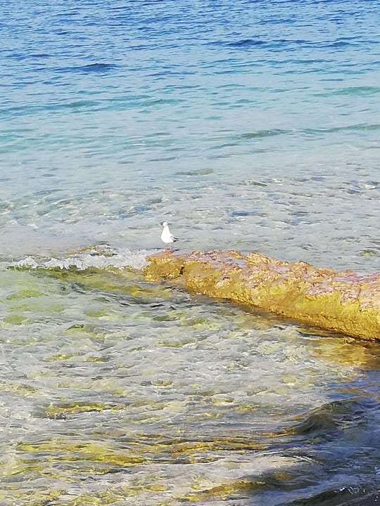 Strand Hotel Caribe - Garda Lake Collection