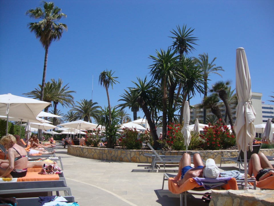 Am Pool allsun Hotel Bahia del Este