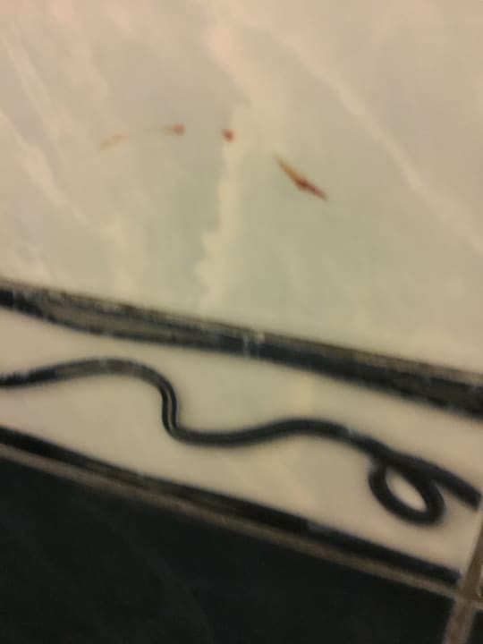 Zimmer Asteria Collection Side