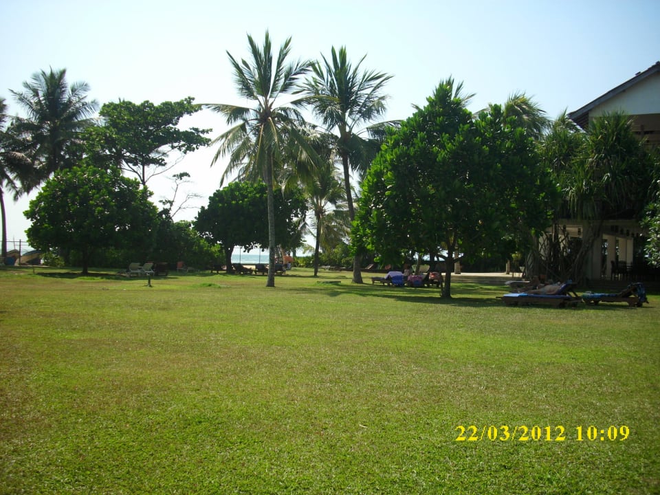 Sauber und gepflegt Earl’s Reef Beruwala