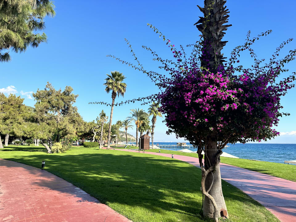 Gartenanlage TUI MAGIC LIFE Beldibi +16