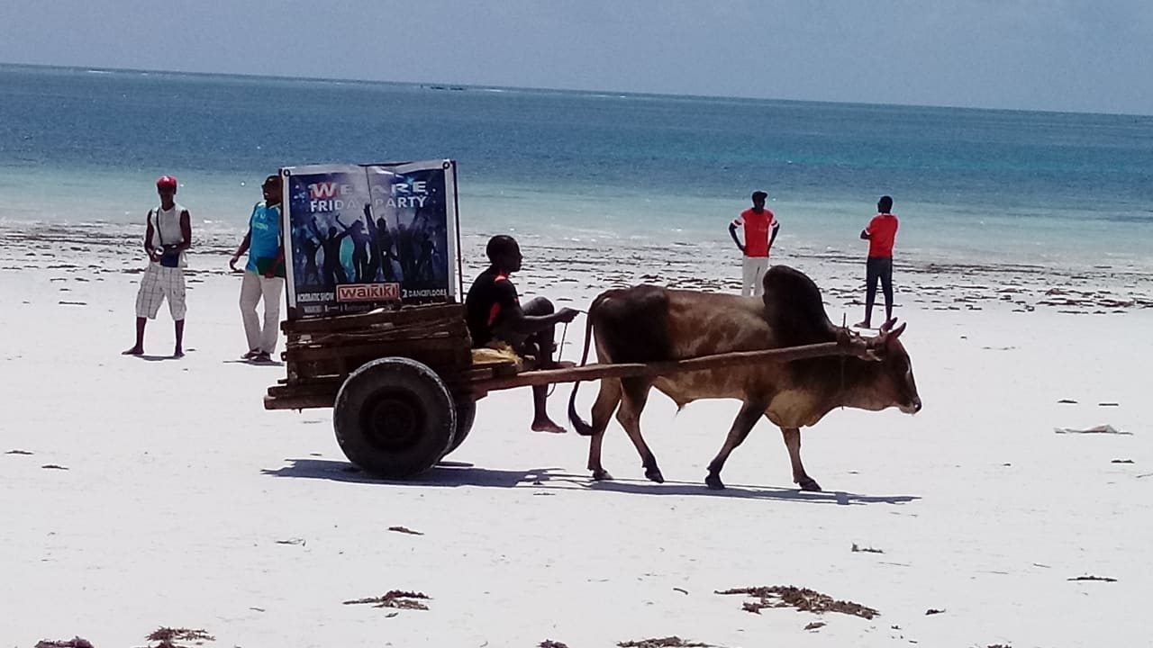 Strand Hotel Kiwengwa Beach Resort