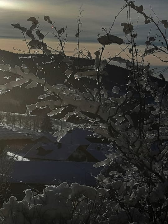 Ausblick Hotel Reinerhof