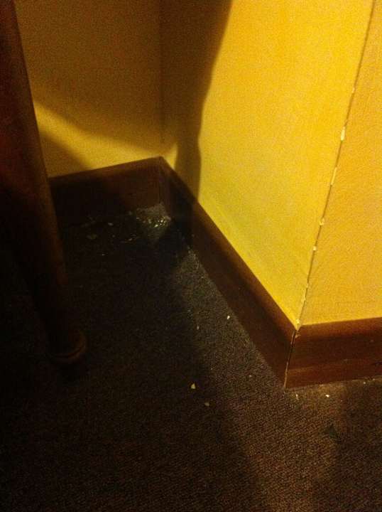 Dreckiger Boden Hotel Quisisana