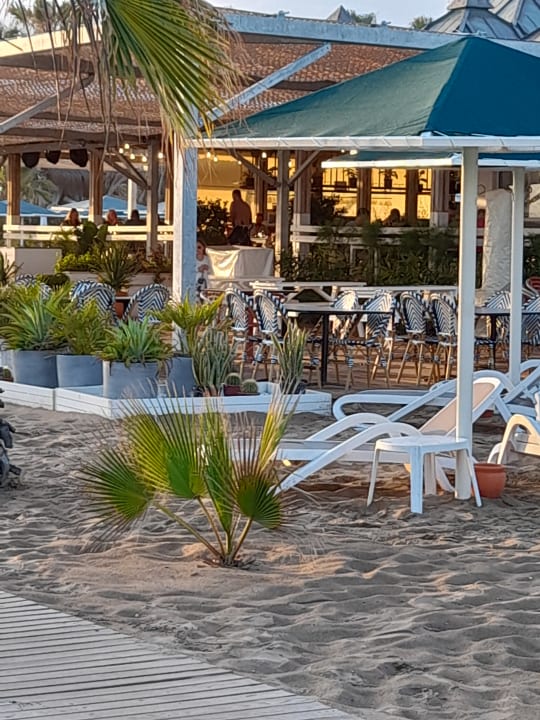 Gastro Paloma Oceana