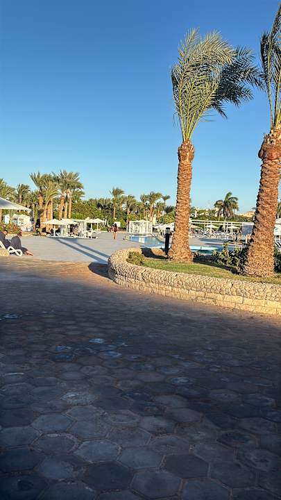 Pool Pharaoh Azur Resort