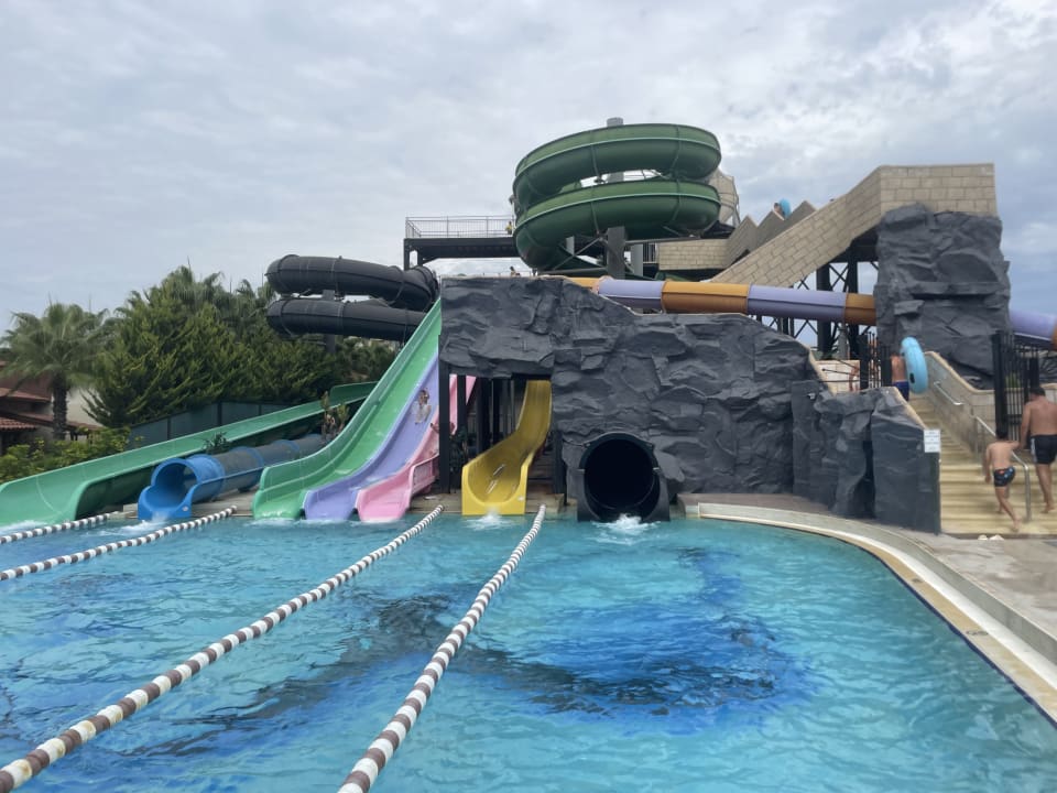 Sport & Freizeit Papillon Belvil