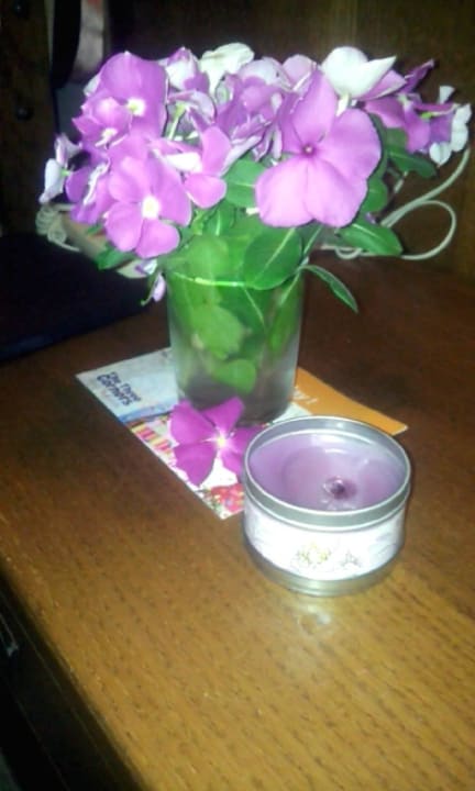 Zimmer Three Corners Equinox Beach Resort