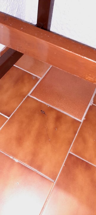 Zimmer Hotel Malia Holidays