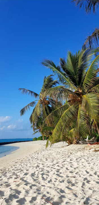 Strand Summer Island Maldives
